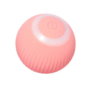 Rolling Ball Electric Cat Toys