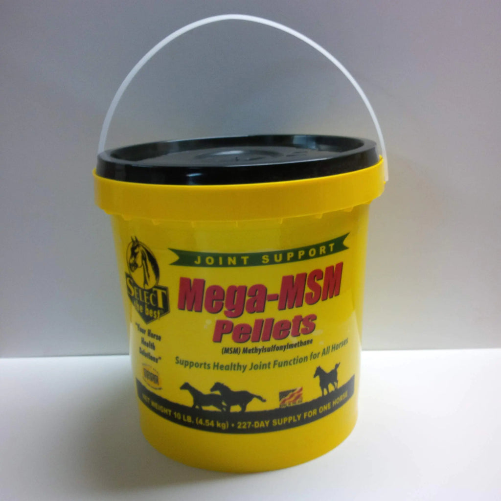 MEGA-MSM PELLETS JOINT SUPPORT FOR HORSES