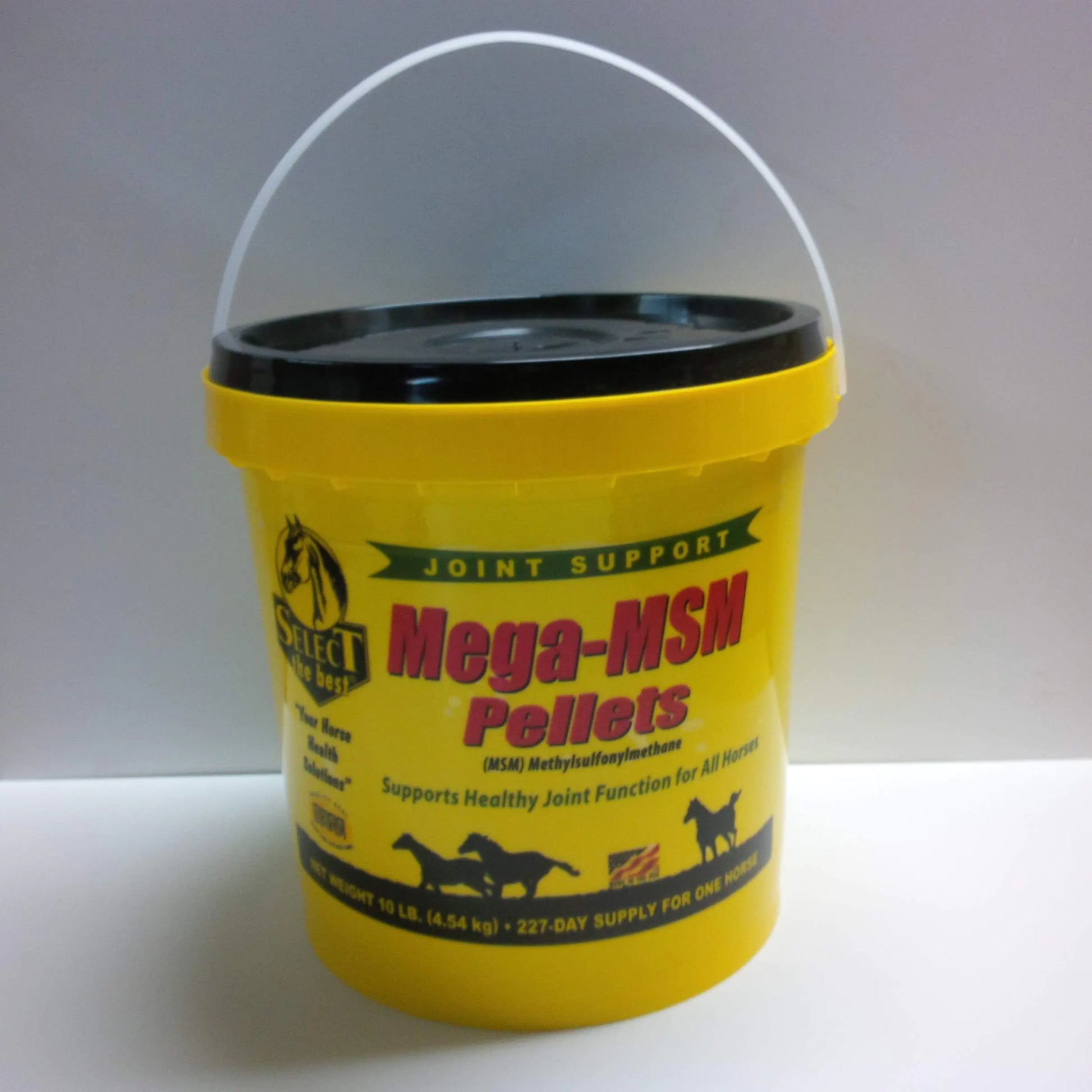 MEGA-MSM PELLETS JOINT SUPPORT FOR HORSES