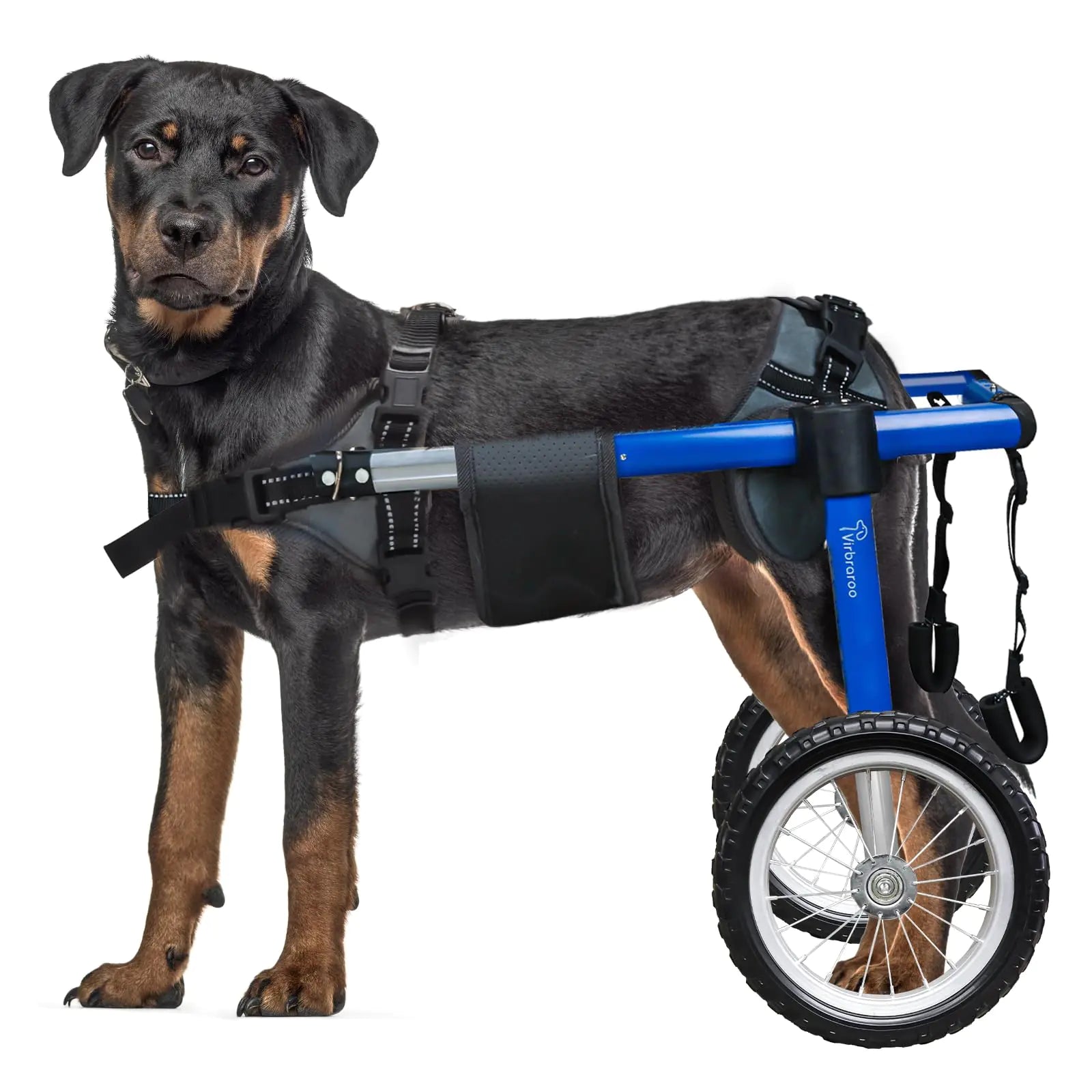 Virbraroo Large Dog Wheelchair for Back Legs Upgraded All-Terrain Tires & Durable Bearings Dog Wheelchair for 19.6"-29.5" 88.1-132.2 lbs Disabled or Injured Large Dogs (Double Extra Large)