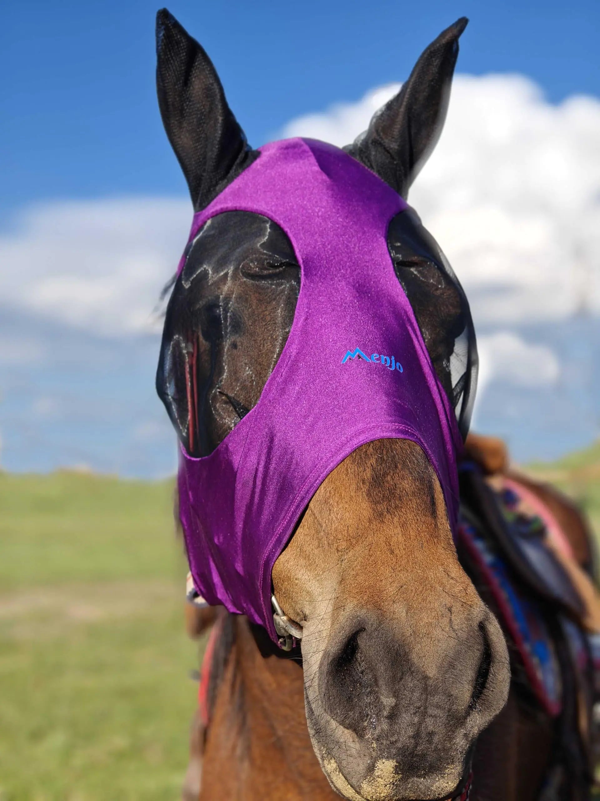 Pamplona Purple Menjo Outdoors Elastic Horse Fly Mask with Ears for Cobs Arabians Most Morgans and Some Quarter Horses. Small-Headed Horses Horses Under 15 Hands high
