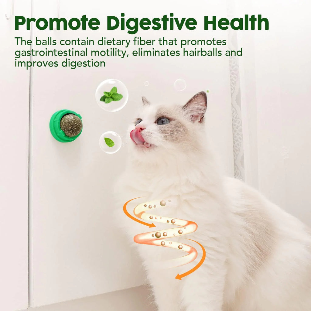 Edible Catnip & Silvervine Ball Toy Set (4 Pcs)