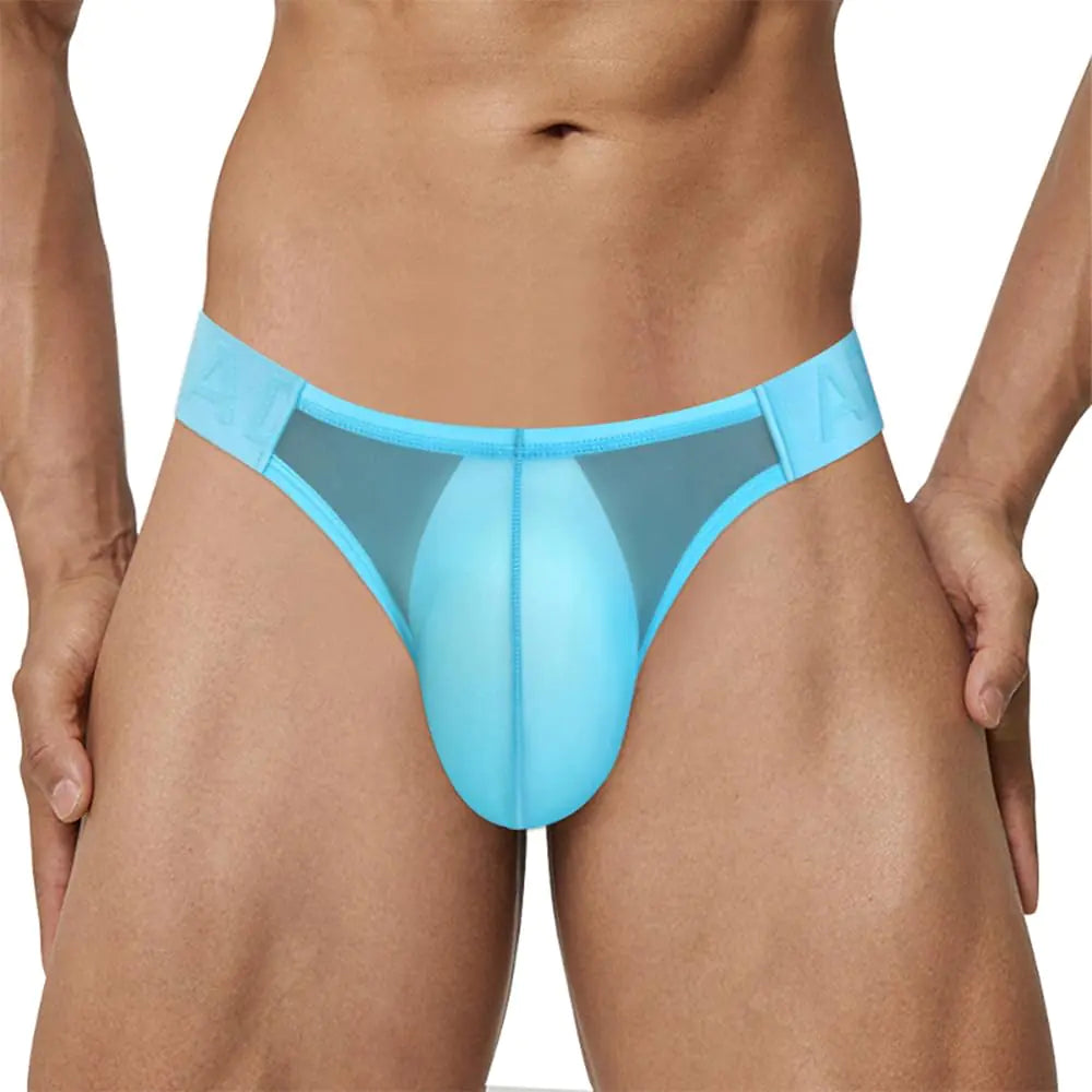 Anvdok Sman Mens Briefs Underwear Breathable Sexy Briefs for Men See Through Briefs (US Alpha Medium Regular Regular Blue)