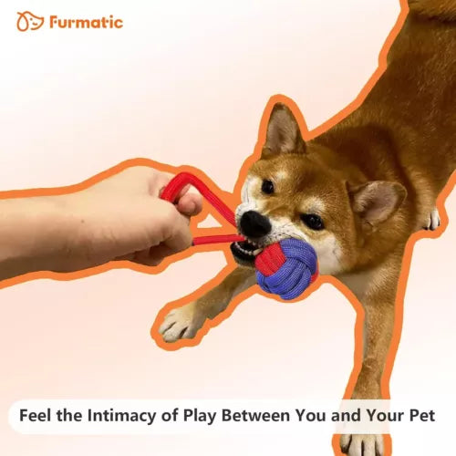 WIDJOQI Pet Ball Dog Toy Ball Toy Dog Ball with Rope pet Interactive Toy Rope Dog Ball Toy Throwing Toy Ball Small and Medium-Sized Dogs Tough Rope Durable Dog Ball TPR Rubber Ball (LTQ)