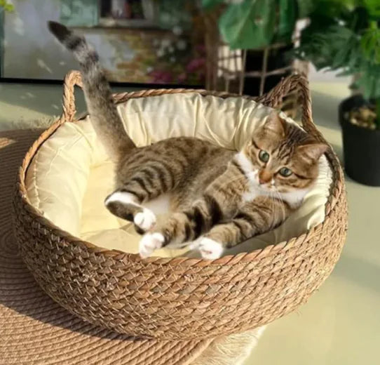 Cat Bed Pet Nest Manual Rattan Woven Cattailgrass Cat Scratch Board Removable
