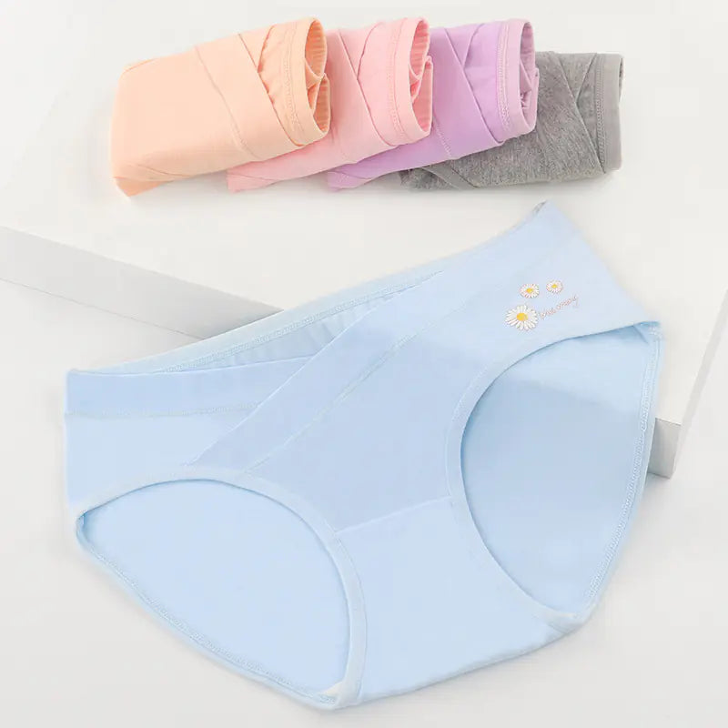 Women's Floral Embroidered Maternity Panties for Comfort